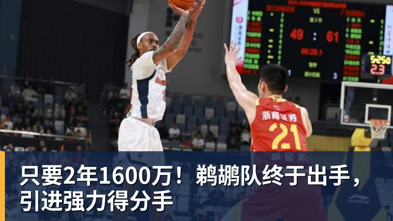 kaiyun体育只要2年1600万！鹈鹕队终于出手，引进强力得分手